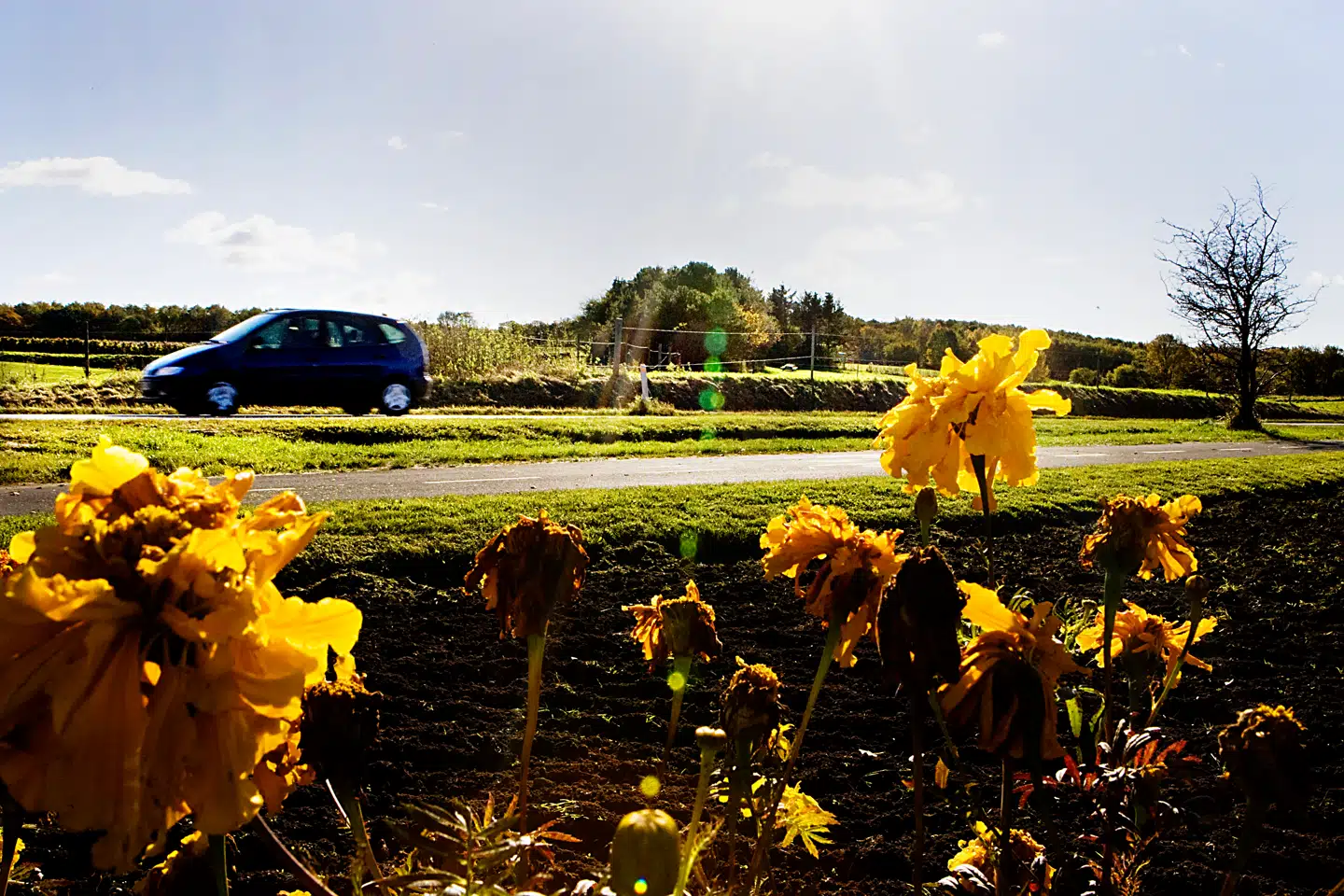 »Vi kan alle med fordel mindes, hvad held og uheld har betydet for os,« skriver Kristian Weise efter at han og familien oplevede et alvorligt trafikuheld, der nemt kunne være endt meget være.