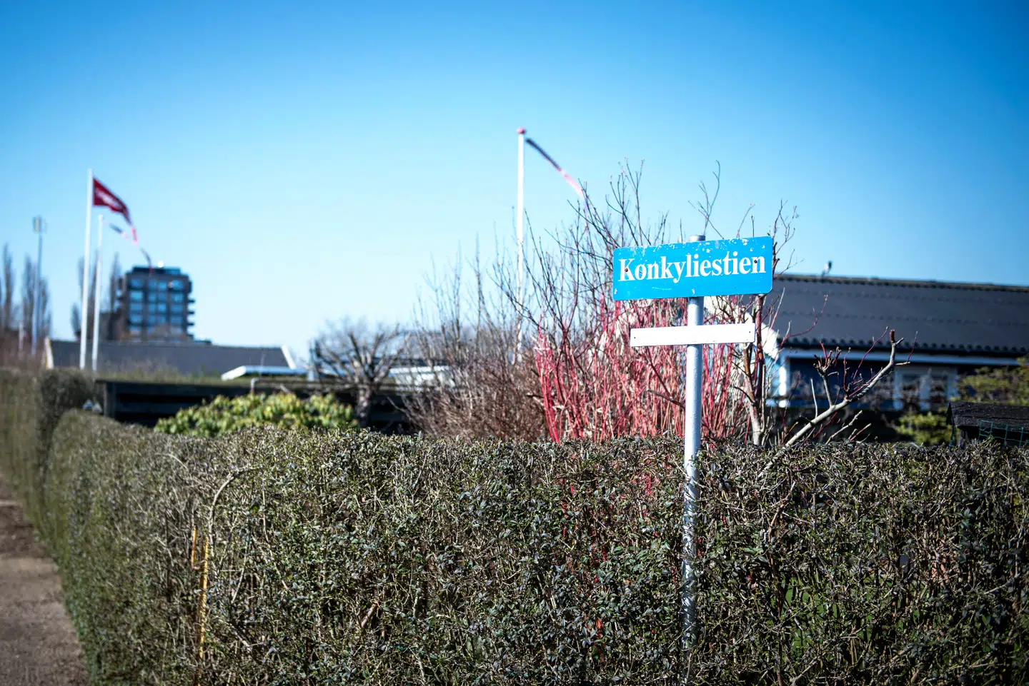 I princippet er mange tusinde af de københavnske kolonihaver ulovlige.