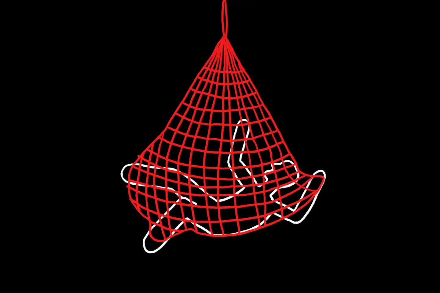 Illustration: K Vang