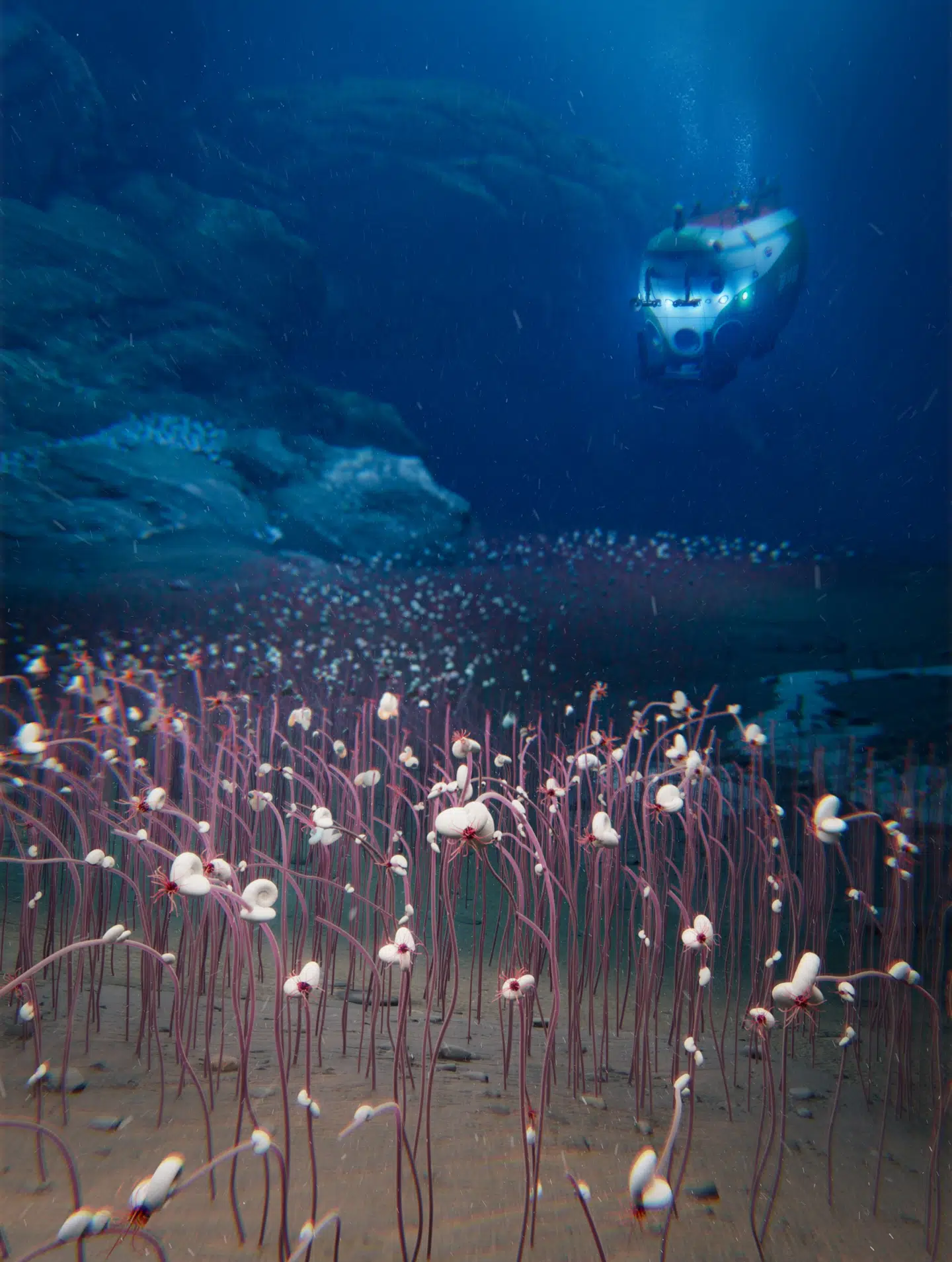 Illustration af den bemandede kinesiske forskningsubåd »Fendouzhe« over et rigt samfund af højt specialiserede organismer i en næringsrig dybhavsgrav i Stillehavet.