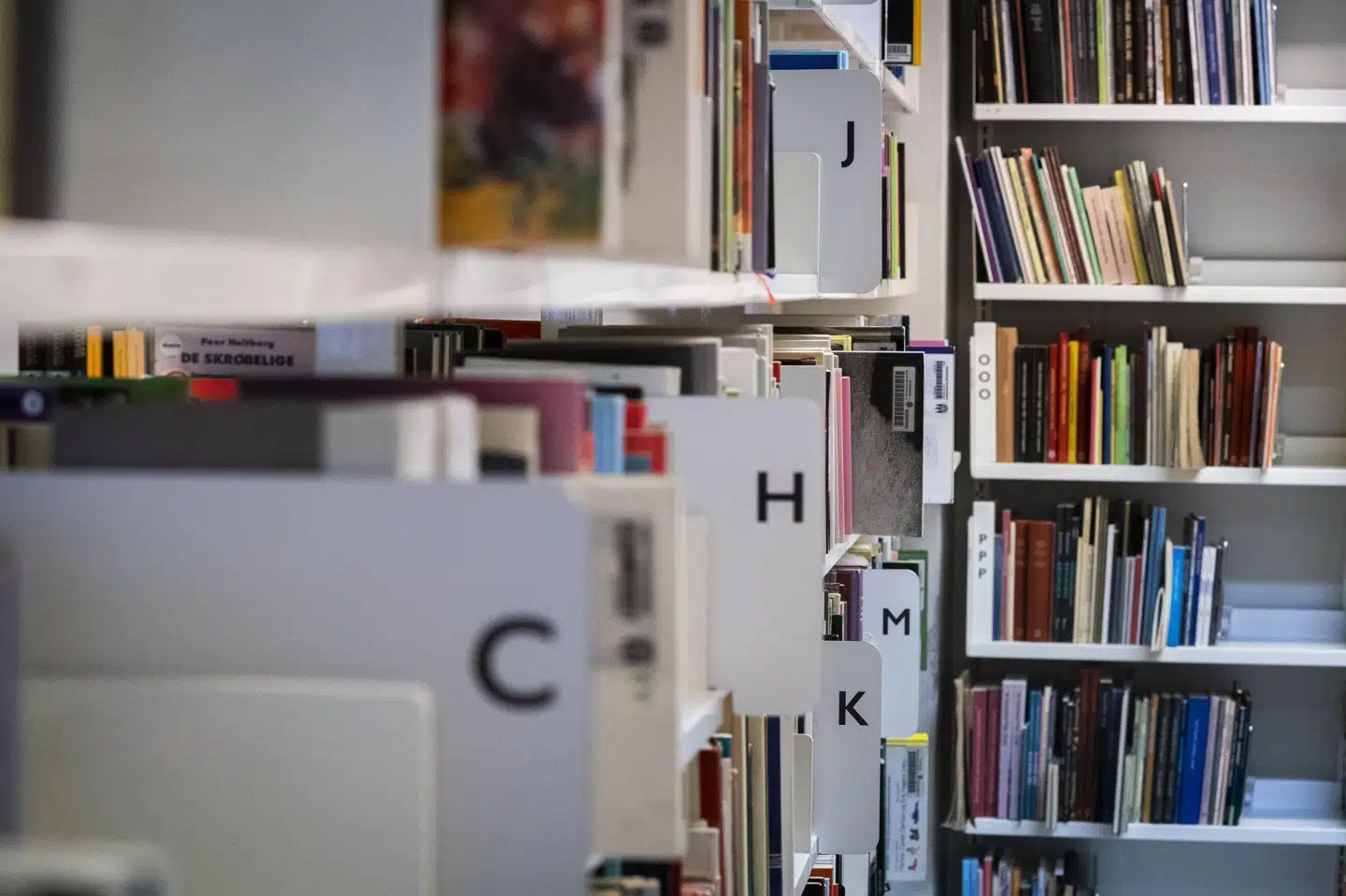 Ikke blot "hen" og "de" er føjet til ordbogen "Nye ord i dansk 1955 til i dag". Også ord som "bolo", "orgasmekløft" og "elastikkørsel" er kommet med. (Arkivfoto).