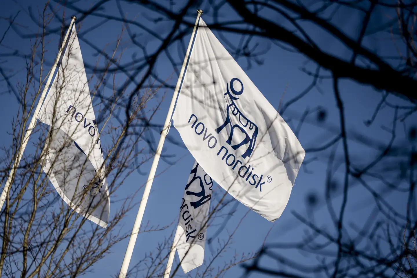 Novo Nordisks aktie er onsdag faldet og lukker nu under kurs 300 for første gang i næsten fire år. (Arkivfoto).