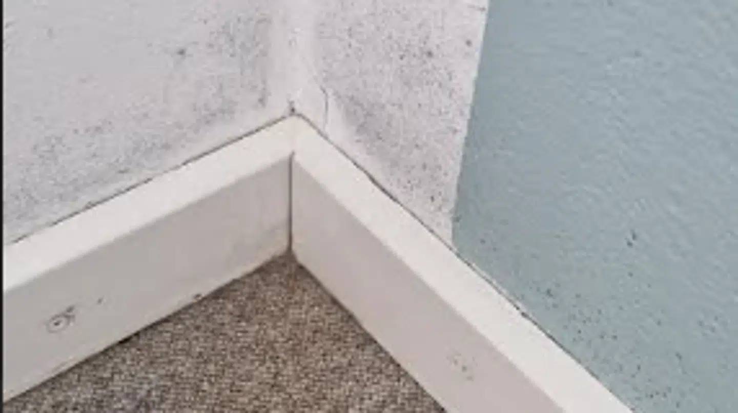 Her ses et hjørne i det værelse, Sussi Lindgren og manden havde booket.