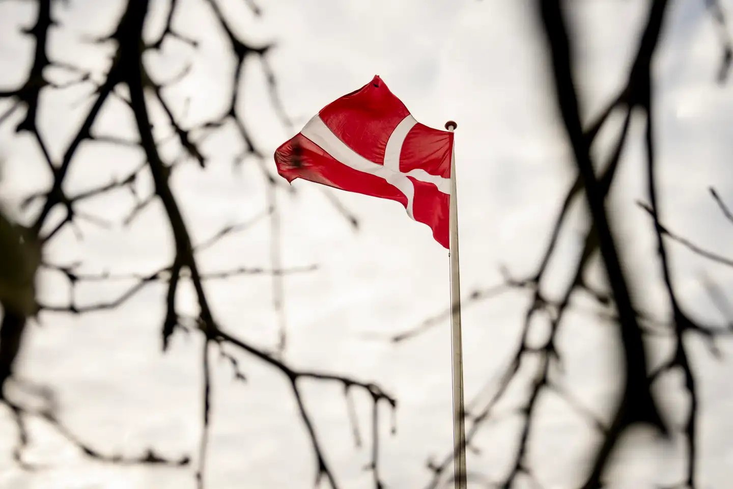 »Uden danskere findes der ingen danskhed. Man kan ikke adskille en kultur fra det folk, som har skabt den!« skriver Daniel Nordentoft.