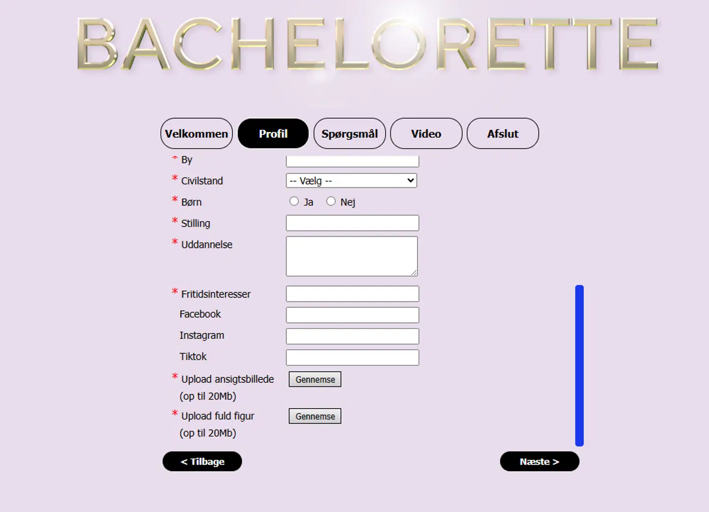 Ansøgningsformularen til kvinder, der ønskede at tilmelde sig den kommende sæson af 'Bachelorette'