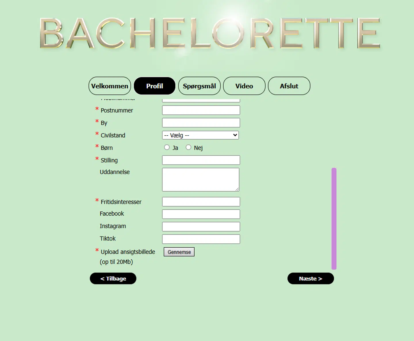 Ansøgningsformularen til mænd, der ønsker at tilmelde sig den kommende sæson af 'Bachelorette'.