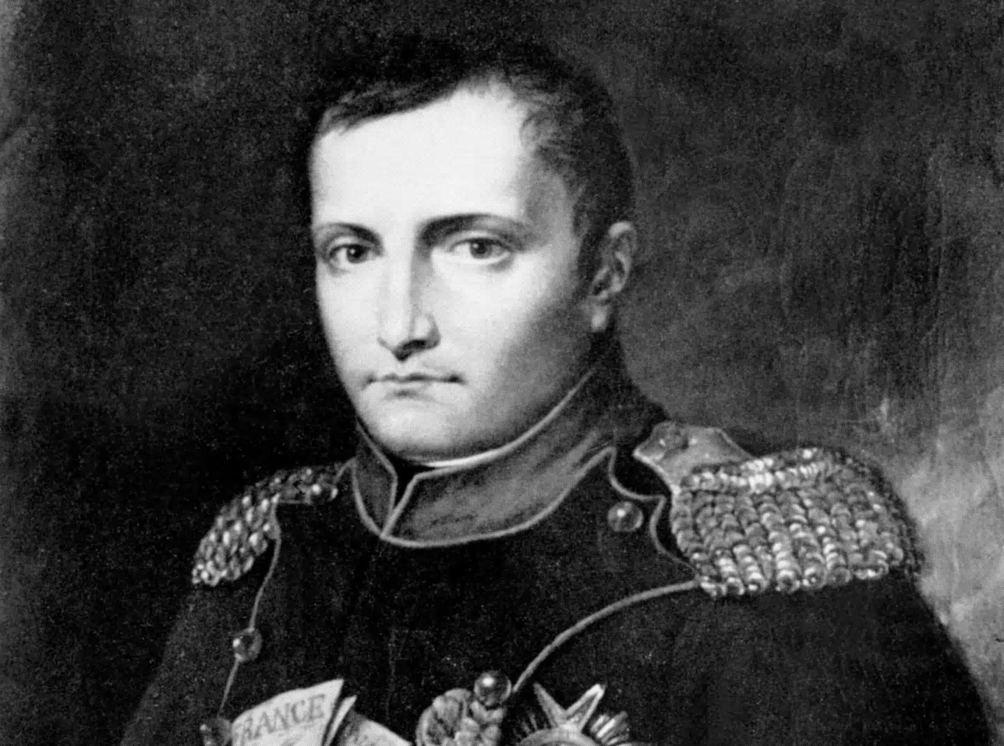 Det var ikke kun kamphandlinger, kulde og sult, der slog Napoleons hær ihjel under krigen i Rusland. Maleri: Napoleon Bonaparte, 1802-1803