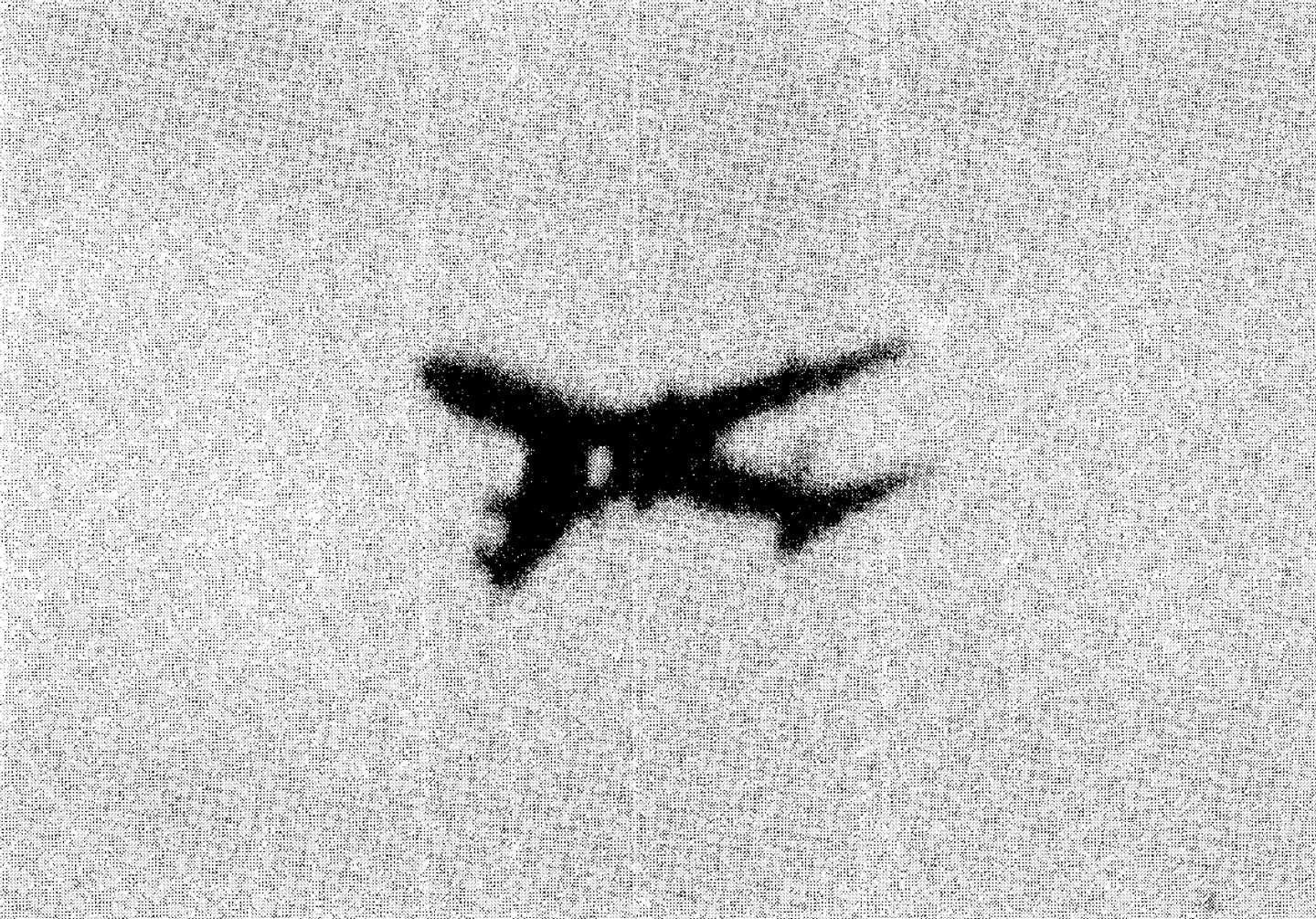 Det berømte og meget kornede billede af skæbneflyet, efter at det har mistet en betragtelig del af sin halefinne og få minutter før, det styrter ned.