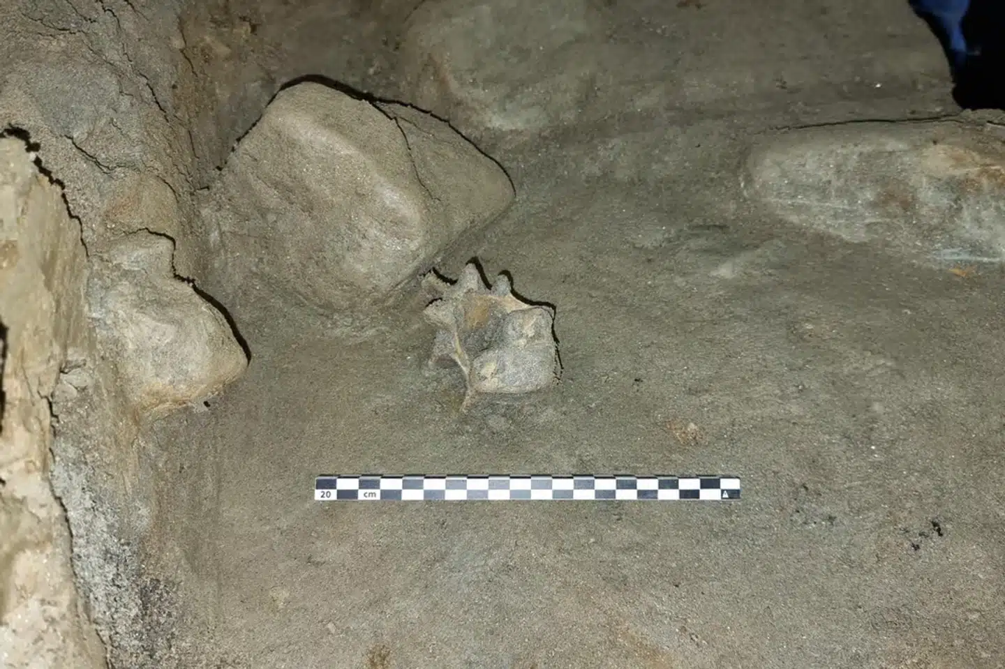 Foto: Trond Klungseth Lødøen