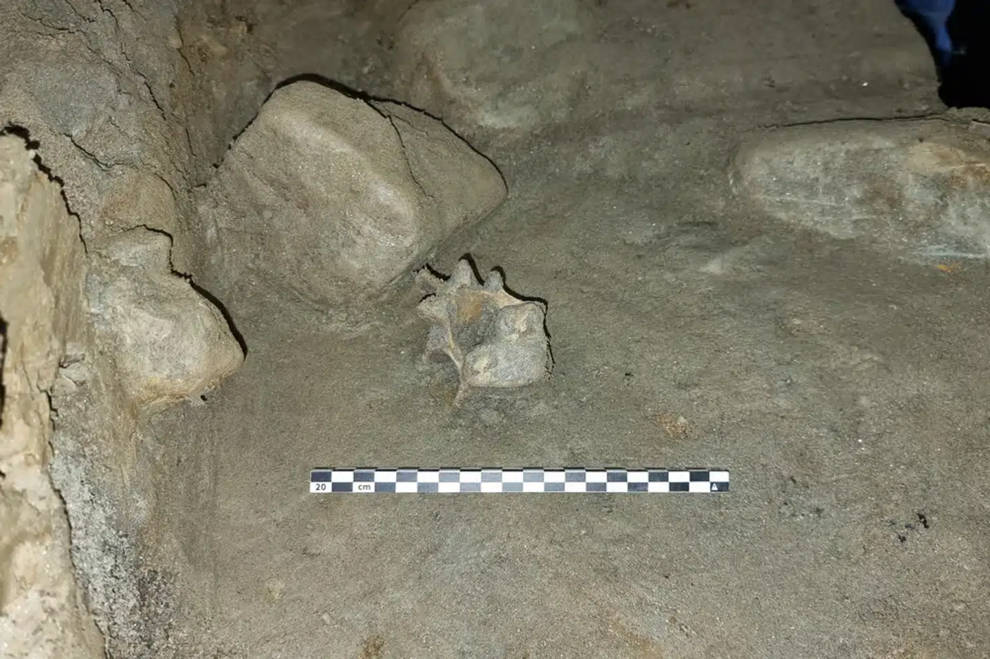 Foto: Trond Klungseth Lødøen