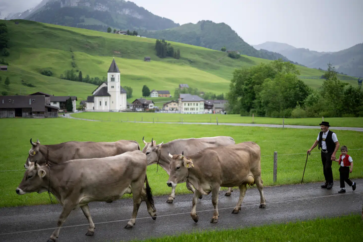 Schweiz har en lang historie med demokrati og fred.
