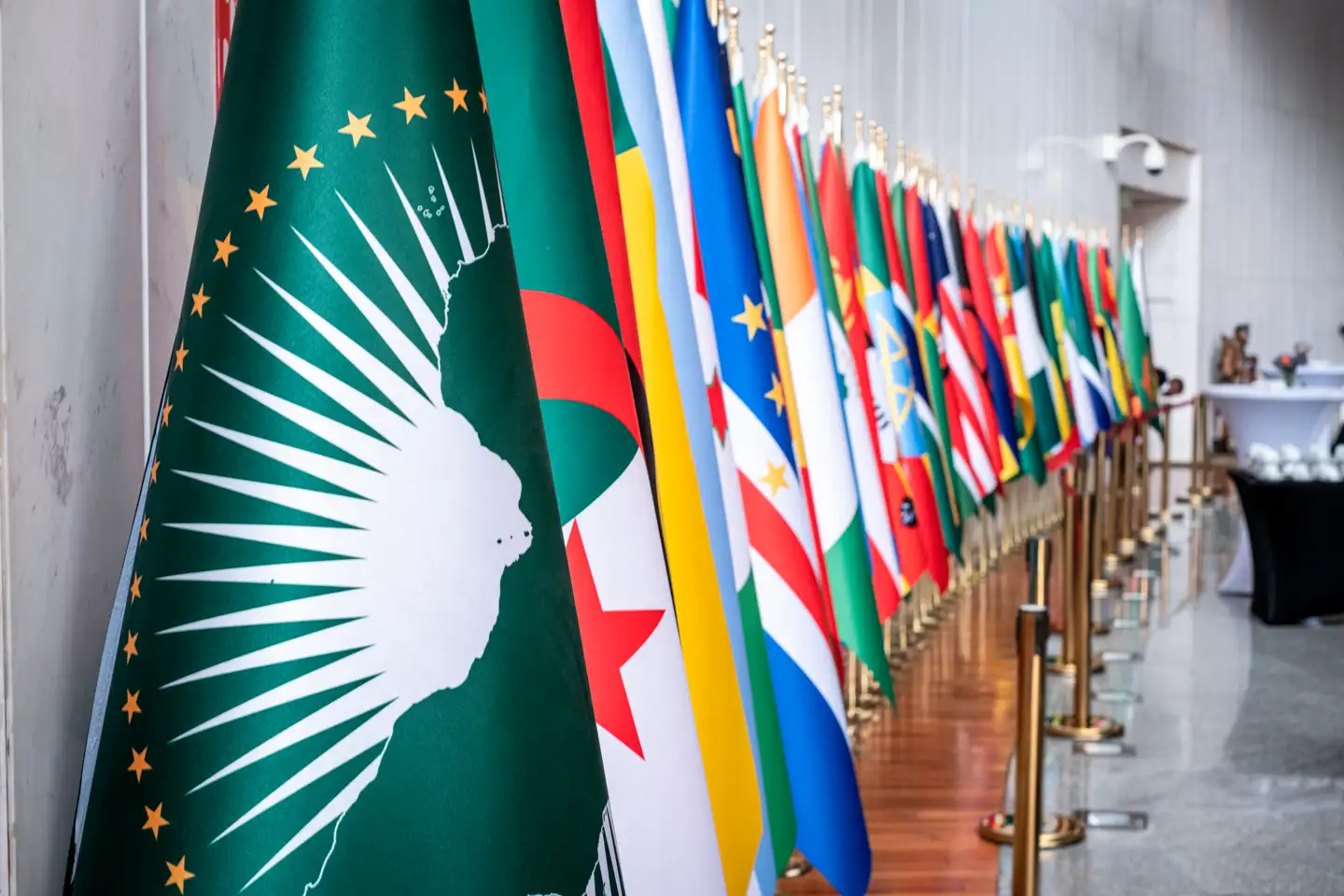 Der er 55 medlemslande i Den Afrikanske Union.