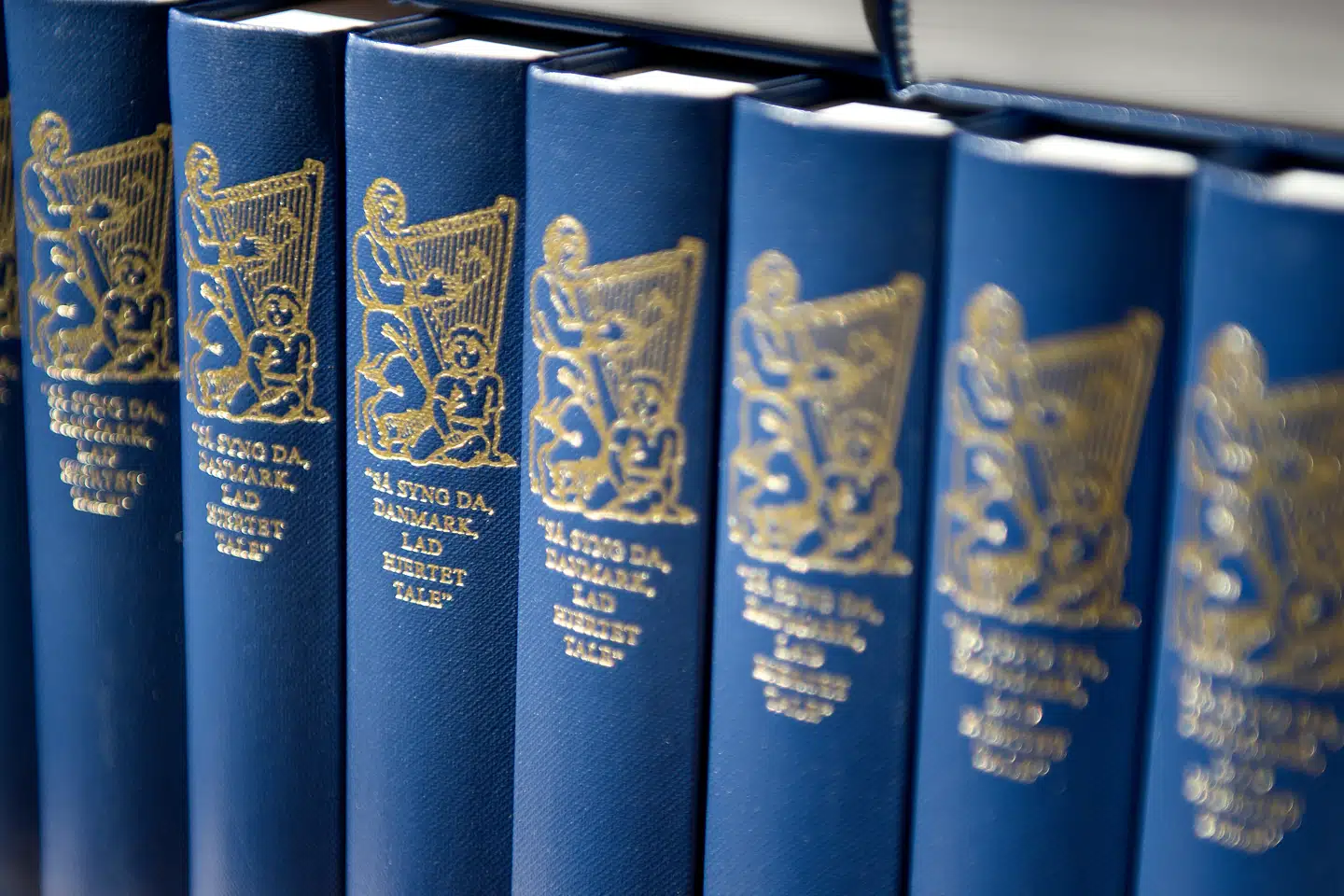 »Det er ikke længere den grundtvigske metafysik, der er i førersædet på højskolerne eller i kulturen som sådan, men elevernes rettighedstænkning. Den grundtvigske tilværelsestydning er således vigende i samfundet,« skriver Thue Kjærhus, der er forstander på Rønshoved Højskole.