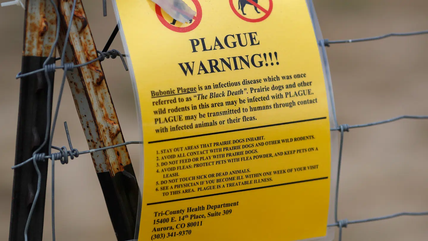 Arkivfoto af pestadvarsel i USA 2019.