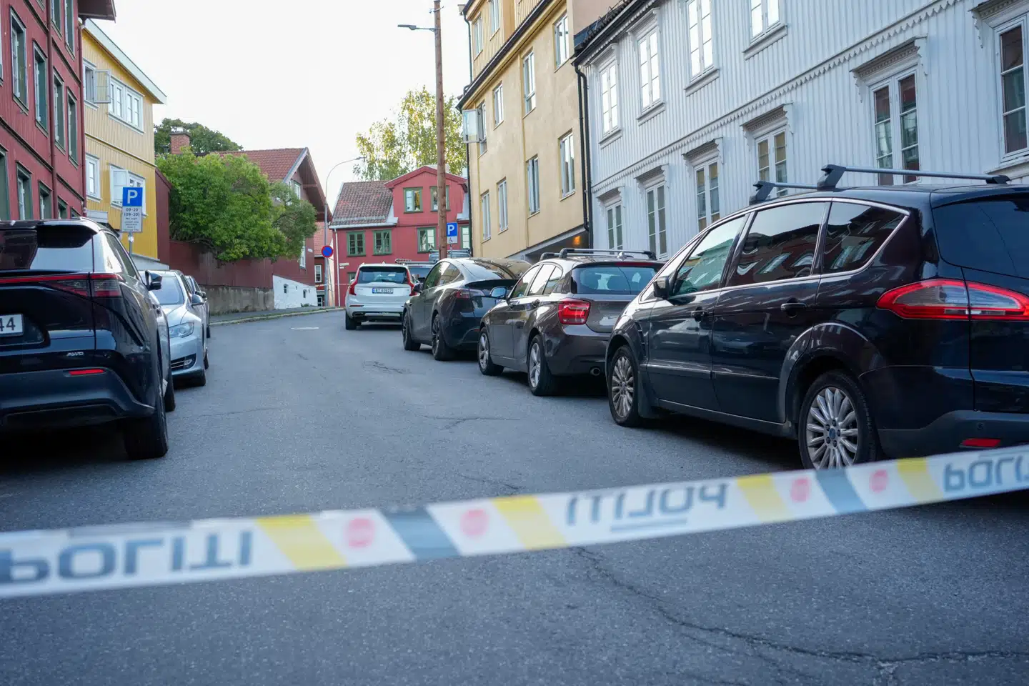 Søndag blev en kvinde dræbt i Oslo. En 18-årig er blevet sigtet for terror.