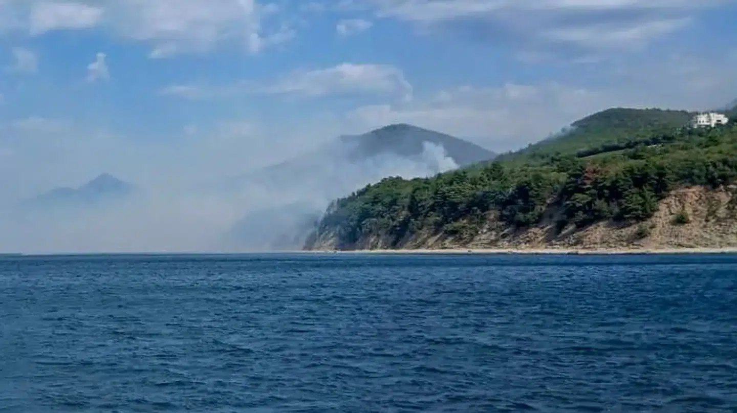 Skovbranden hærger bare få kilometer fra det palads, som angiveligt tilhører Vladimir Putin.
