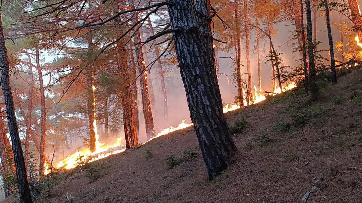 Vragrester fra en nedskudt drone skulle have startet branden.