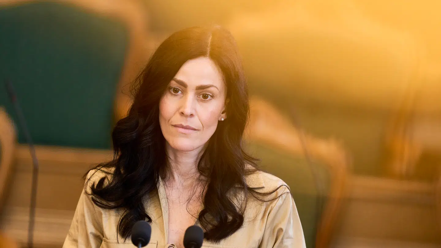 Mette Theisen har siddet i Folketinget siden 2019. Før sin indtræden i Dansk Folkeparti var hun både løsgænger og repræsentant for partier Nye Borgerlige.