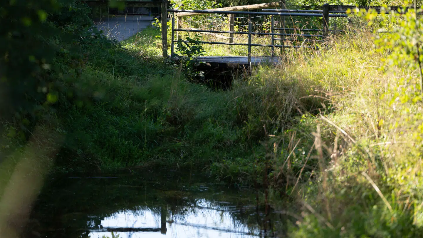 Kufferten blev fundet i en å i byen.