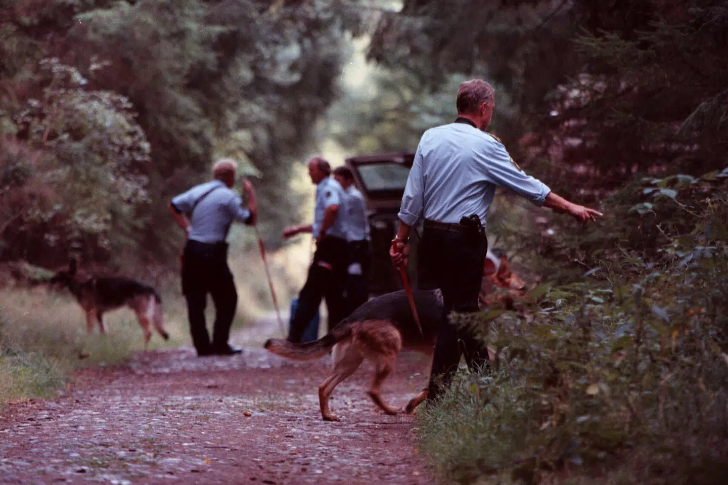 Politiet efterforskede i 1999 Bøtø-sagen om en pige, der blev voldtaget og forsøgt dræbt ved et skovområde nær Bøtø på Falster. Først onsdag blev gerningsmanden straffet.