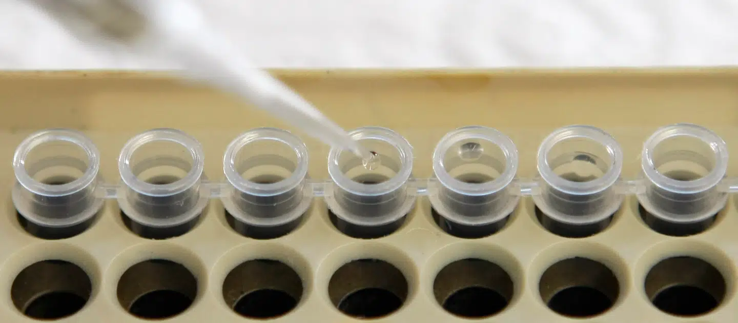 En ny dna-analyse af kaster nyt lys på Europas folkevandringer. Arkivfoto: Thomas Kienzle, Scanpix