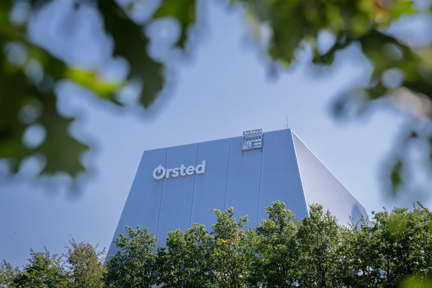 Det er fredag, at aktionærerne skal stamme om danmarkshistoriens største kapitaludvidelse på 60 milliarder kroner i energigiganten Ørsted.