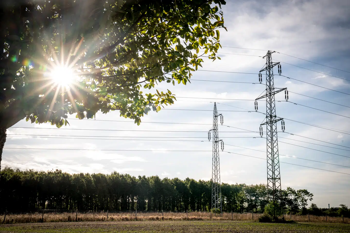 Netselskaber driver infrastrukturen, der får strømmen til at flyde ud i forbrugernes stikkontakter.