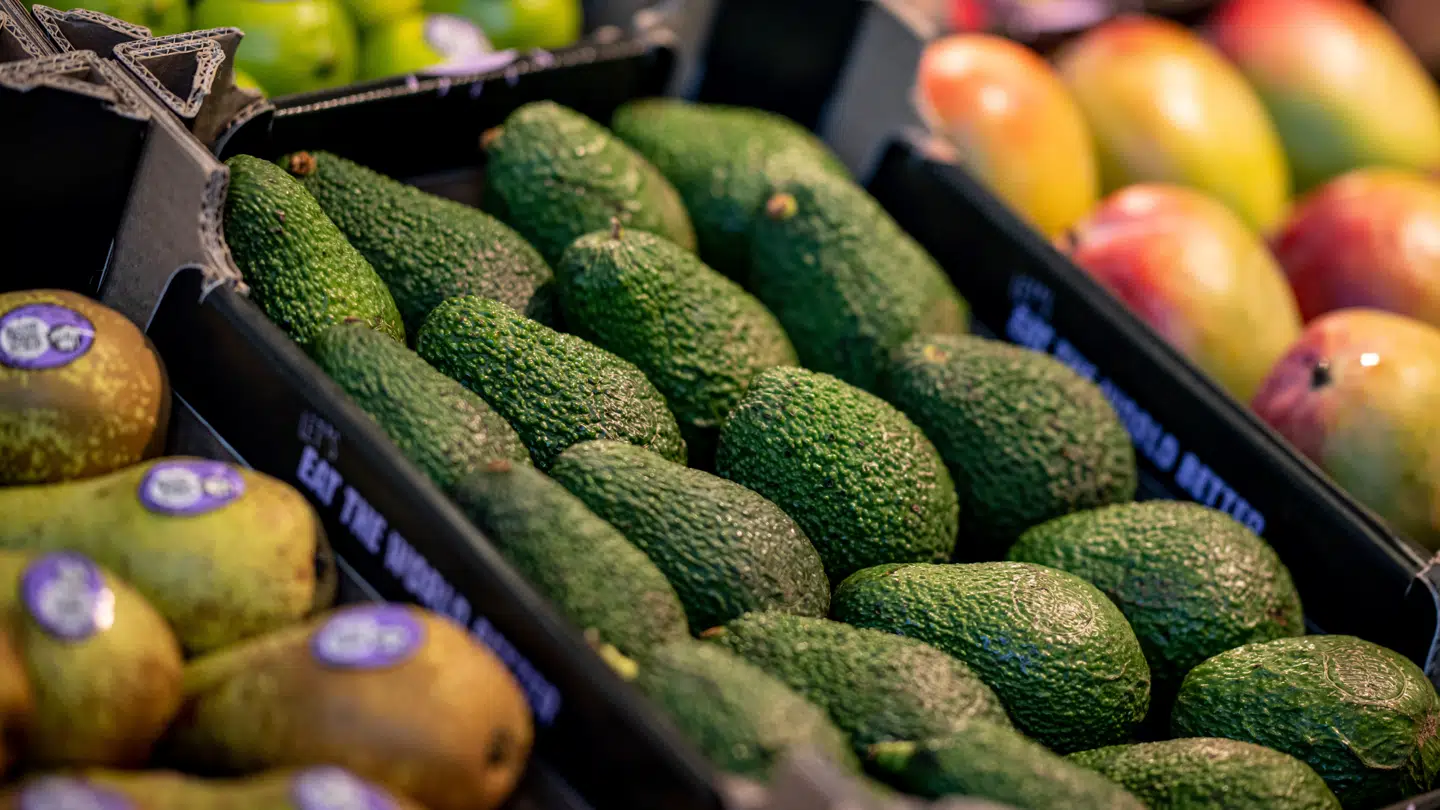 Det kan være svært at købe avocadoer.
