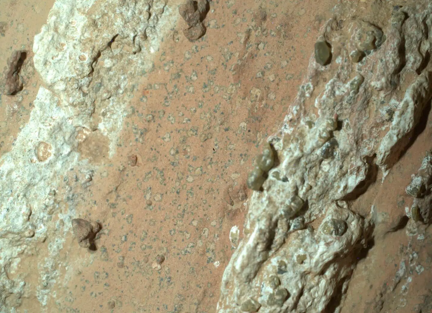 Er disse små pletter på Mars' overflade beviset på liv i rummet? Foto: Handout fra NASA/JPL-Caltech.