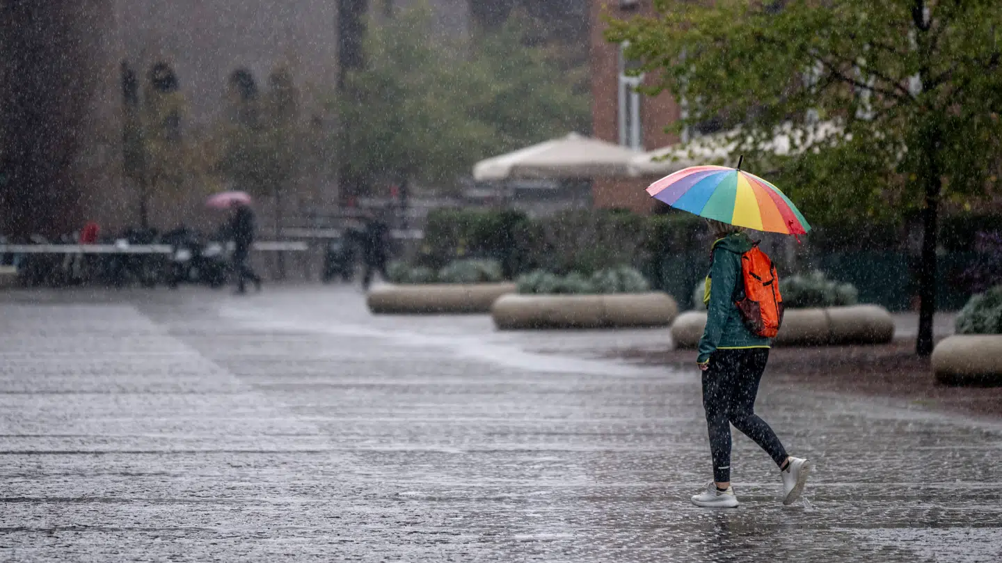 Arkivfoto. Danmark kan blive ramt af kraftigt regnvejr de kommende timer.