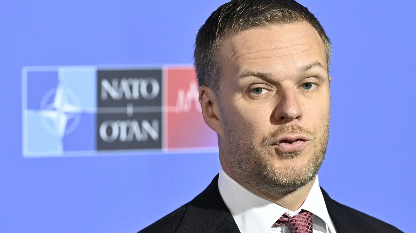 Litauens tidligere udenrigsminister Gabrielius Landsbergis.