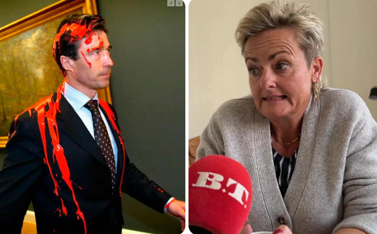 I lyset af den seneste tids sager med politisk vold fortryder Pernille Rosenkrantz-Theil nu endnu mere hendes indblanding, da daværende statsminister Anders Fogh Rasmussen (V) fik kastet maling ud over sig.