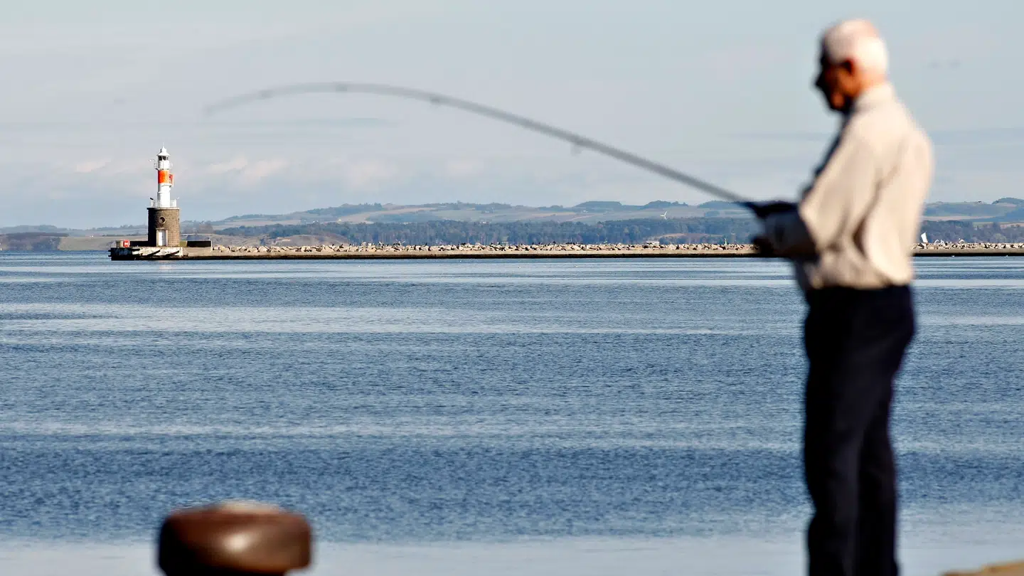 Onsdag bliver en dag med nogen sol i det meste af landet, men der vil også komme nogen enkelte byger.
