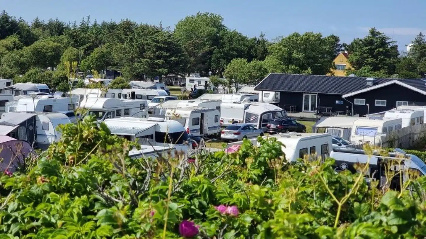 Der har været større kamp om pladserne på landets campingpladser i år.