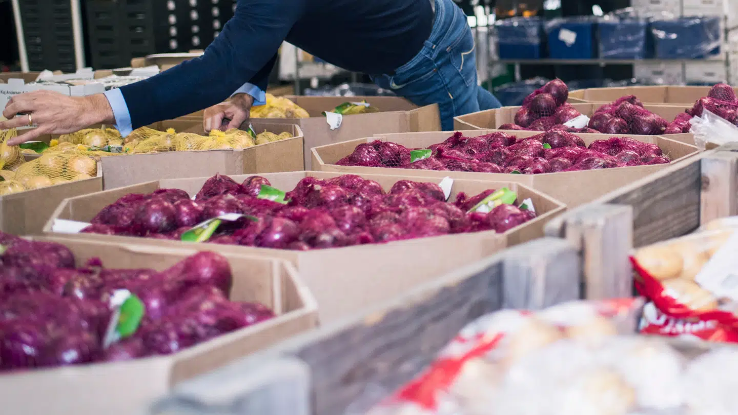 Dagligvarehandel online udgør kun tre til fire procent i branchen, men der blæser positive vinde i dele af branchen, lyder det.