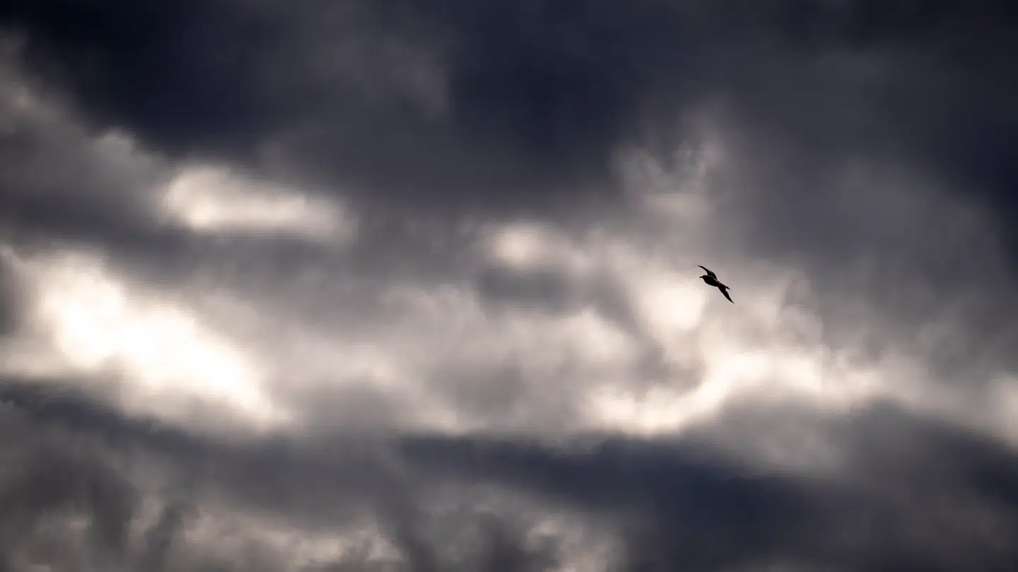 Et stort vejrskifte er på vej mod danskerne, oplyser DMI til B.T.