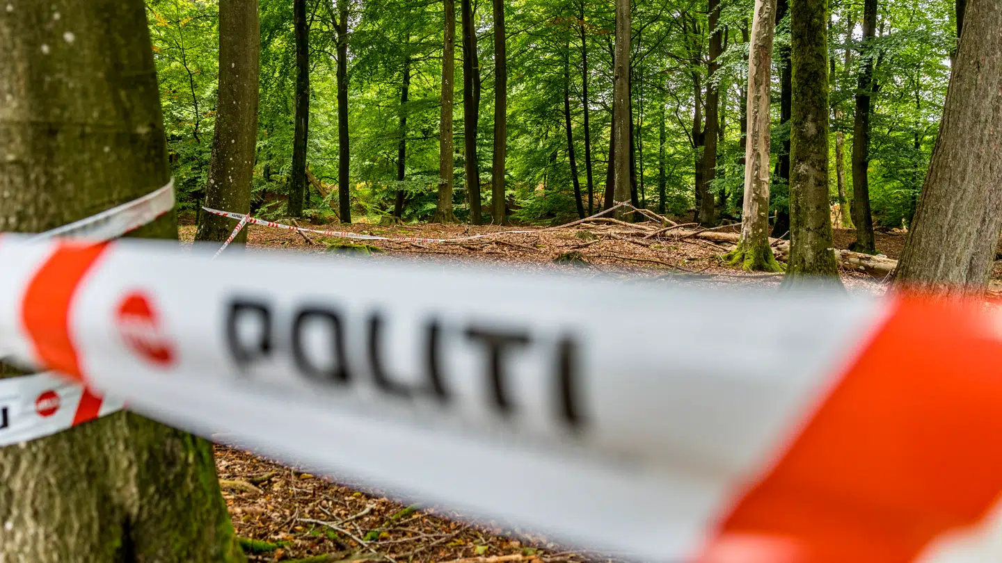 Sydsjællands og Lolland-Falsters Politi efterforsker muligt drab i skovområde i et skovstykke nær Hestehavevej uden for Rønnede søndag den 21. september 2025.