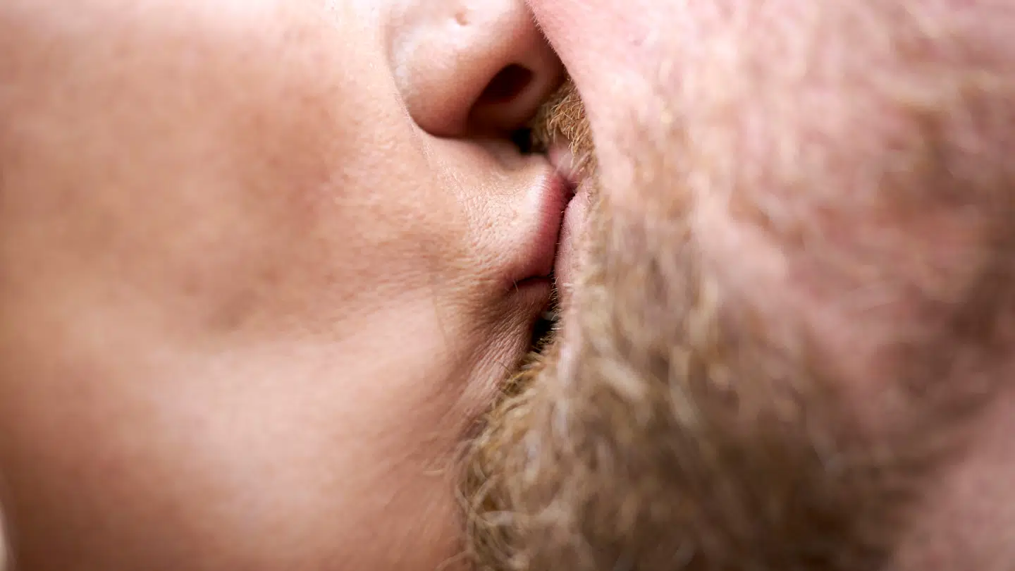 Mange danskere leder efter kærligheden.