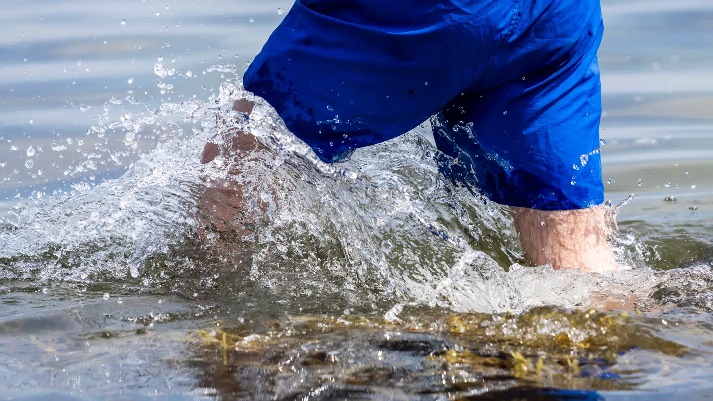 Det har i flere perioder ikke været muligt at bade i den populære badesø.