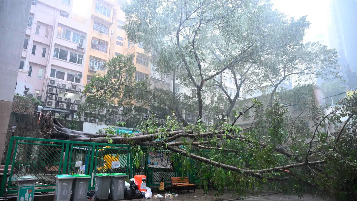 Supertyfonen har ramt flere steder i Asien, deriblandt Hong Kong.