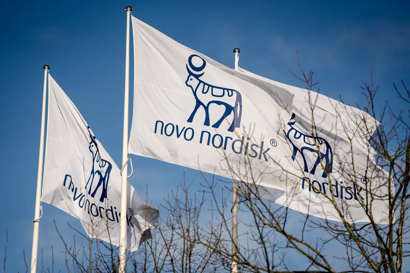 I en e-mail, som Berlingske er i besiddelse af, skriver Novo Nordisk koncernledelse, at fyringerne er startet og vil ramme produktionen. En række medarbejdere har fået sat dato på, hvornår de får at vide, om de er købt eller solgt.