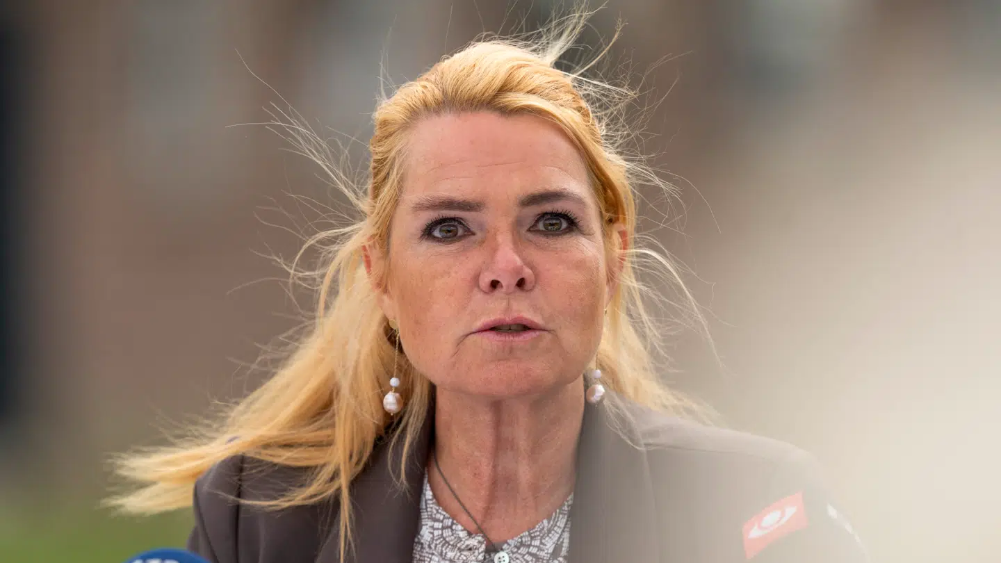 Inger Støjberg og Danmarksdemokraterne vil bruge den såkaldte Al Capone-model mod de mest kriminelle familieklaner.