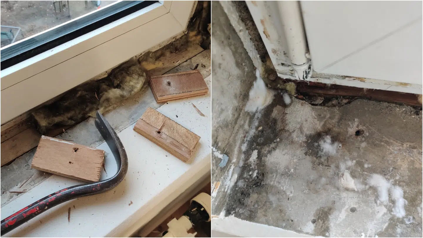 Skimmelsvamp ved et af vinduerne i lejligheden under håndværkerfirmaet ASAPs udbedringer.