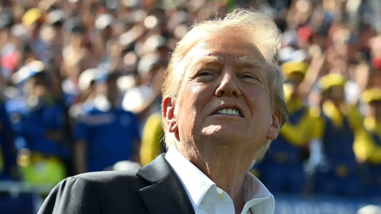 Flere forskere har forladt USA, siden Donald Trump blev præsident.