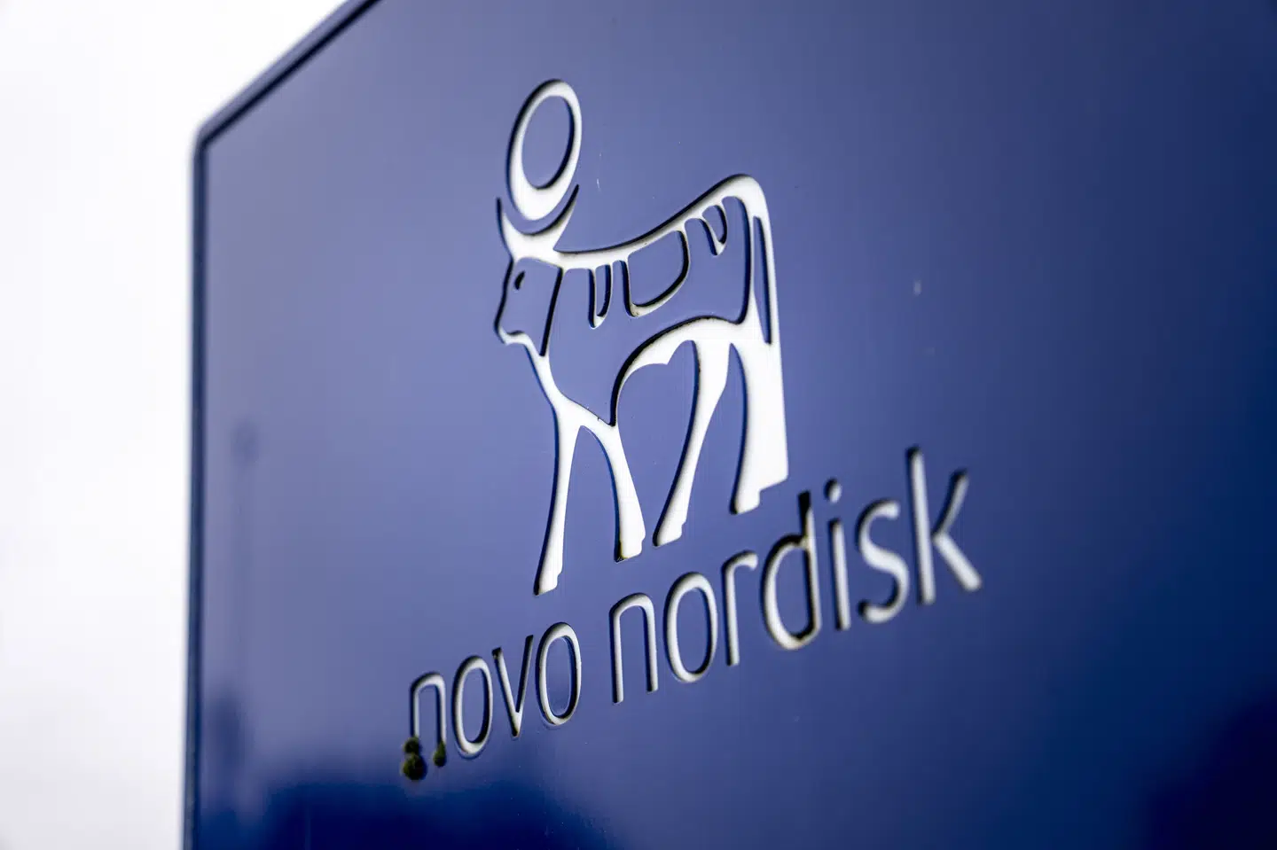 Novo Nordisk skal fyre 9000 medarbejdere på globalt plan, hvoraf 5000 skal fyres i Danmark. (Arkivfoto)