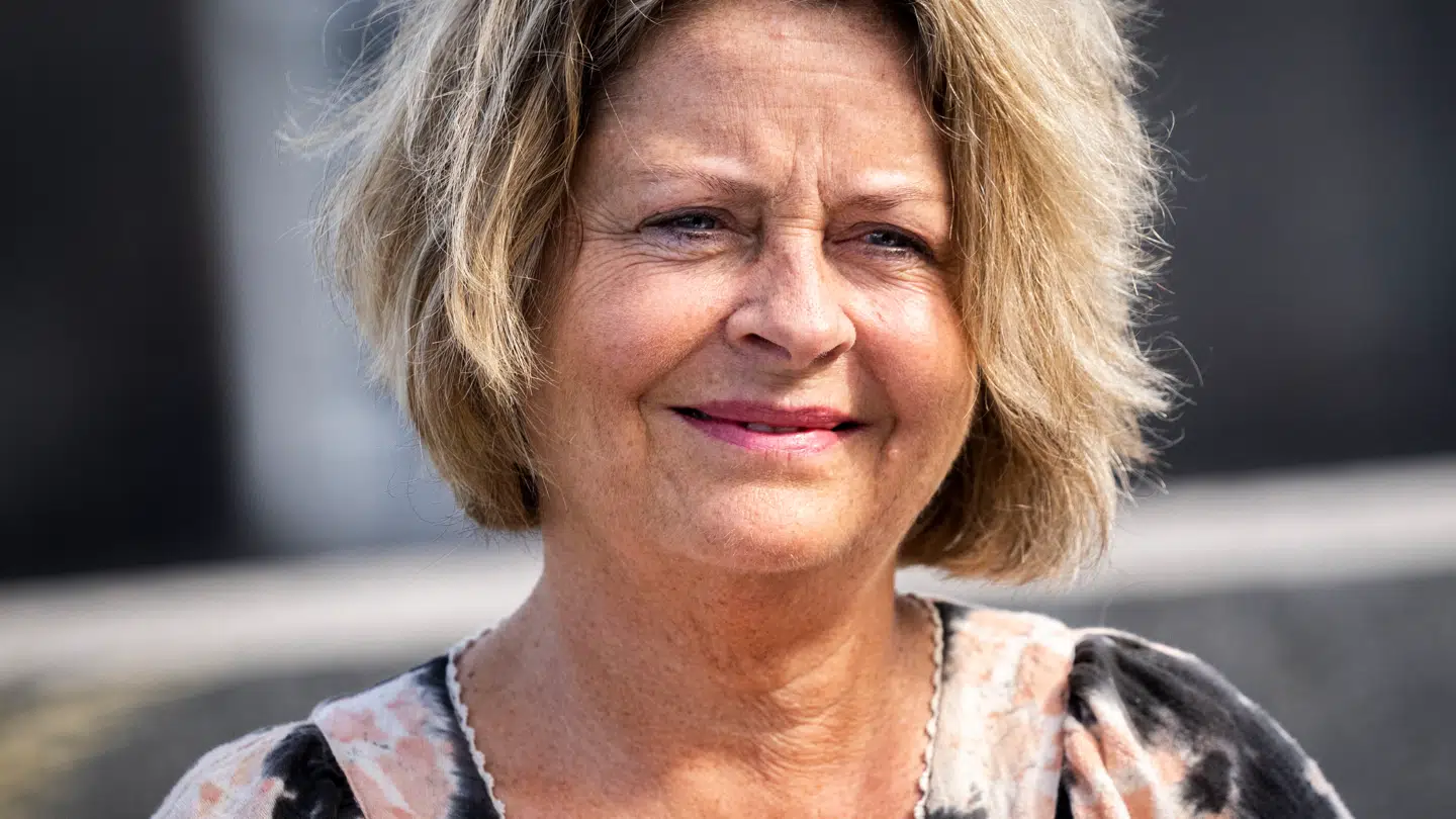 Stine Bosse opnåede valg til Europa-Parlamentet sidste år.