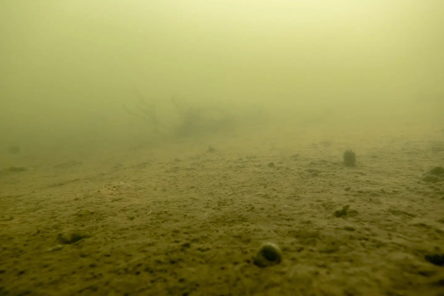 Iltsvindet blev forværret i begyndelsen af september, men en periode med kraftig blæst midt i september bremsede iltsvindets udvikling og flyttede rundt på vandmasserne, så iltsvindets udbredelse sidst i september kun var lidt større end sidst i august. Det viser et nyt iltsvindsnotat fra Aarhus Universitet. (Arkivfoto).