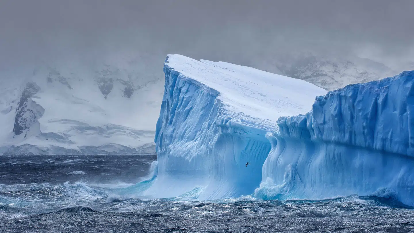 Hurtig afsmeltning og kollaps af såkaldte 'ishylder' i Antaraktis har konsekvenser for Danmark.