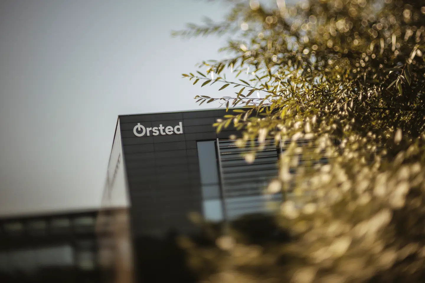 Energikoncernen Ørsted – der har den danske stat som største aktionær – står midt i en historisk krise.