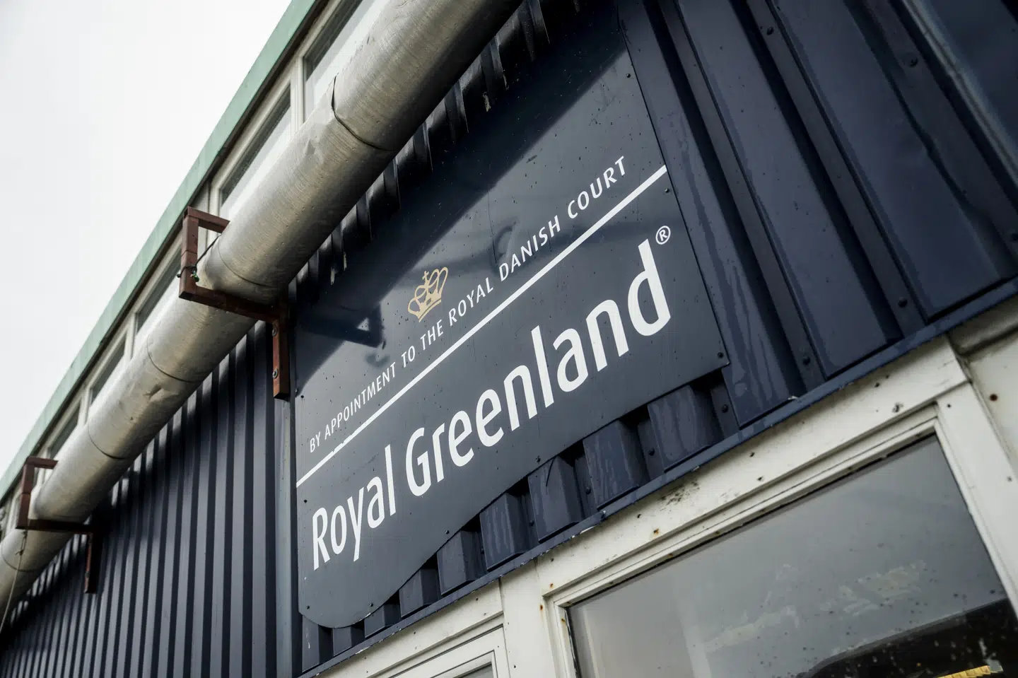 Grønlands eksport af fisk og skaldyr til Storbritannien udgør 600 millioner kroner årligt, og beløbet kan blive endnu højere, hvis det lykkes at lande en ny handelsaftale. (Arkivfoto).